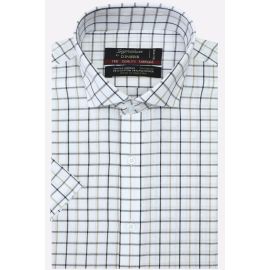 Multi Check Formal Shirt (Half Sleeves)