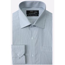 Blue Pinstripe Formal Shirt