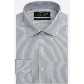 Blue Stripes Formal Shirt