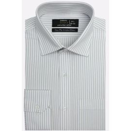 Fawn Stripes Formal Shirt
