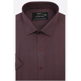 Formal Shirt (Half Sleeves)