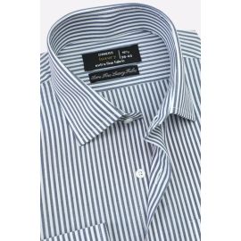 Blue Bengal Stripes Formal Shirt