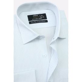 Pencil Stripes Formal Shirt