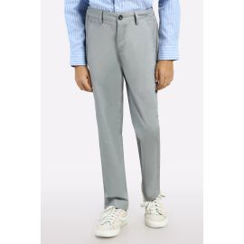 Silver Regular Fit Cotton Chino