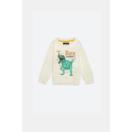 T-Rex Graphic Boys Sweatshirt