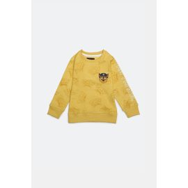 Paw Patrol Graphic Boys Sweatshirt