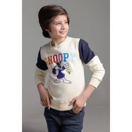 Snoopy Graphic Print Boys Sweatshirt