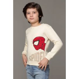 Spider Man Graphic Print Boys Sweatshirt