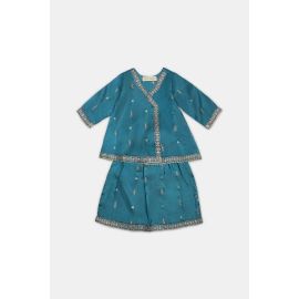 Blue Embroidered Infant 2PC