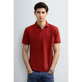 Maroon Solid Collar Polo