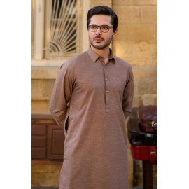 Brown Wash & Wear Fabric