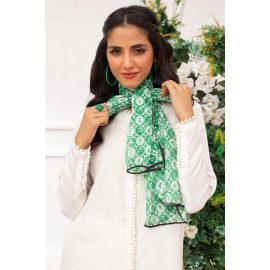 Multicolor Dupatta