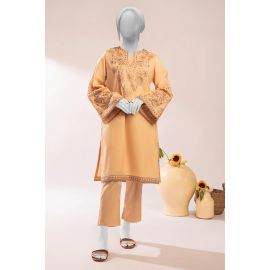 Beige Embroidered 2PC