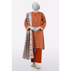 Brown Printed 3PC