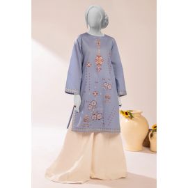 Blue Embroidered Kurti